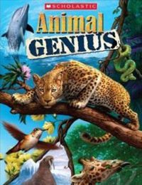 Mały Geniusz: Znawca zwierząt
