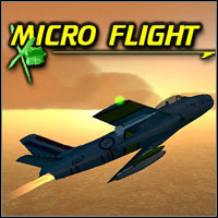 Micro Flight