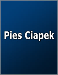 Pies Ciapek