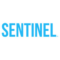 Sentinel (2013)