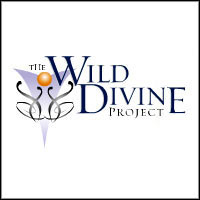 The Journey to Wild Divine