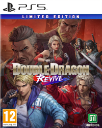 Double Dragon Revive: Limited Edition